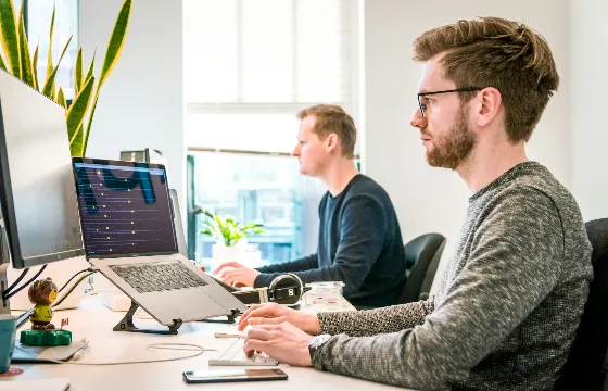 Project Management Professional Basics